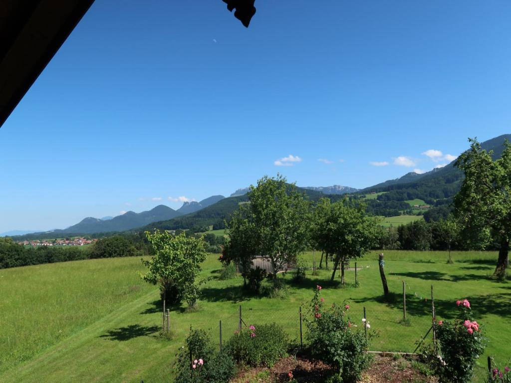 Apartment Beim Grafen *